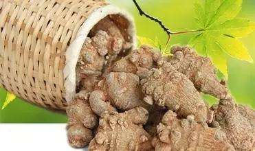 三七打粉机超细研磨机哪个牌子好？