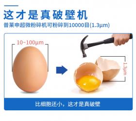 大型超微破壁粉碎机，为何要选普莱申？