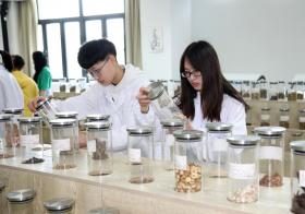 超微粉碎机在多个领域中的重要用途